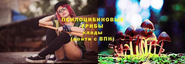 первитин Белокуриха