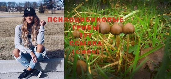кокаин Богородицк