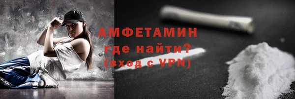 гашик Богородск